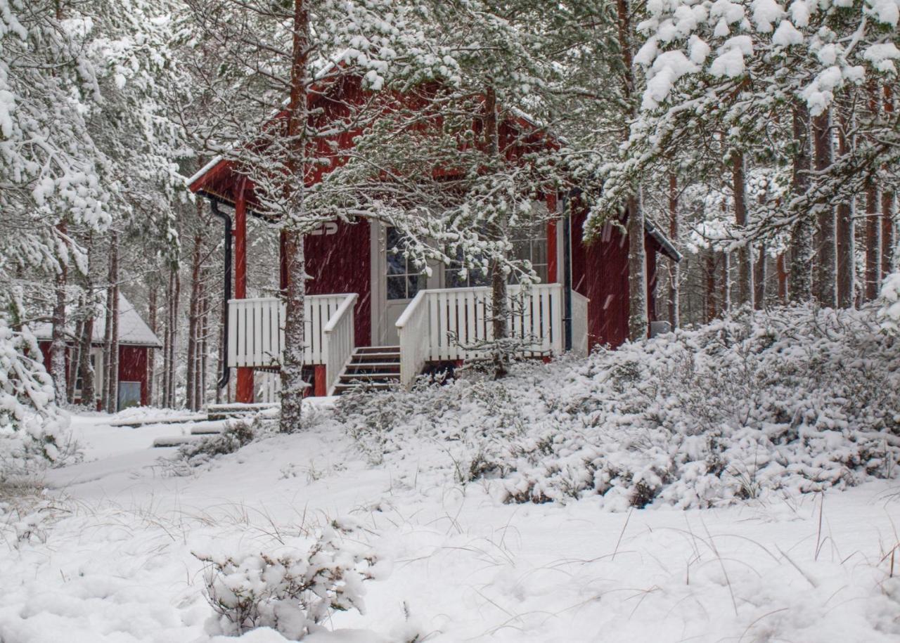 Roosta Holiday Village Noarootsi Exteriör bild